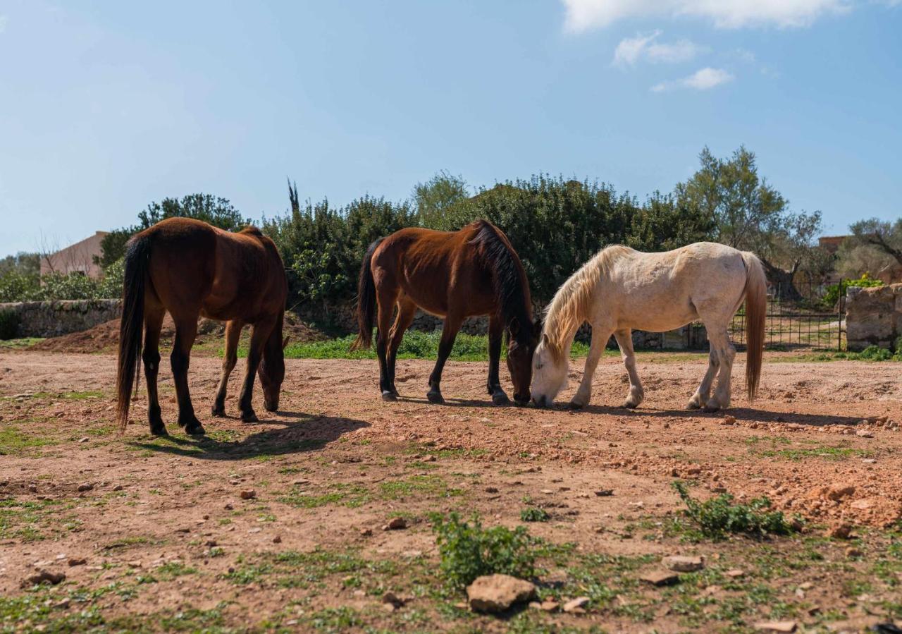 Agroturismo Sa Canoveta Colonia de Sant Jordi Buitenkant foto